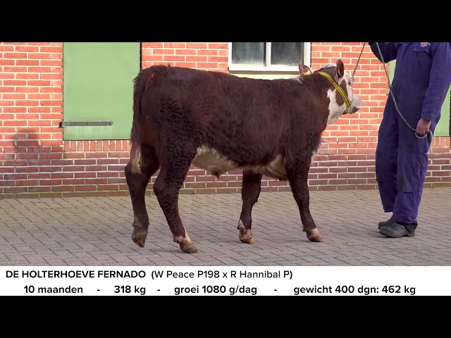 De Holterhoeve Fernado PP