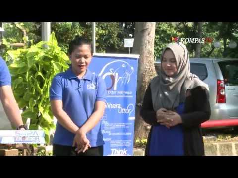 Untuk meningkatkan metode tradisional potensi Bagaimana meningkatkan ketebalan penis penis