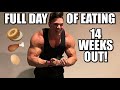 BODYBUILDING FULL DAY OF EATING at 14 WEEKS OUT with Matt Greggo