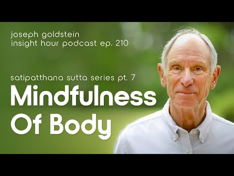 Joseph Goldstein's Satipatthana Sutta Series Pt. 7: Mindfulness Of Body – Insight Hour Ep. 210