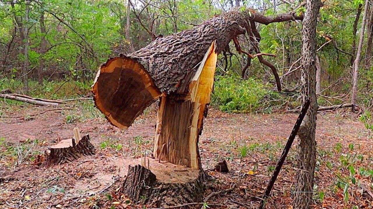 Dangerous Barber Chair - Why It Happened and How to Prevent It