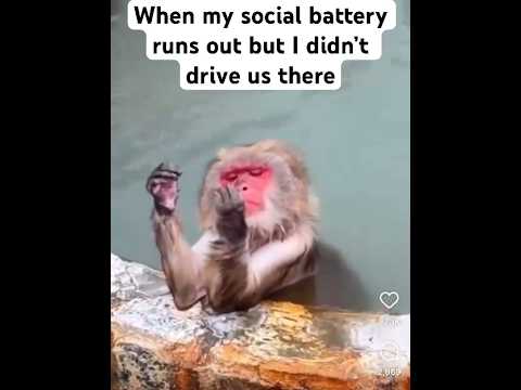 So you just sit there and and wait 🙂 #travelblogger #relatable #friends #funnyshorts #birthday