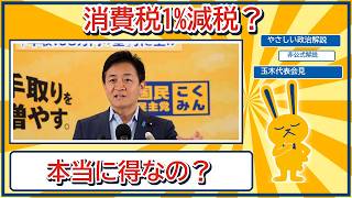 消費税1%減税、本当に得？給付税額控除と手取りをやさしく解説【8/4玉木代表会見】