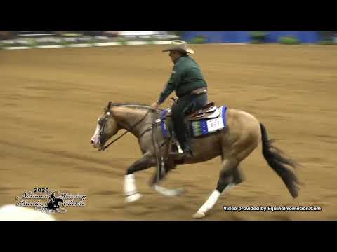 Spooks Gotta Spark shown by Shawn W  Flarida   2020 NRBC Open Classic