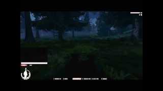 War Z Forest Problems