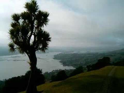 Video Mathilde Hare Hill Horse Treks