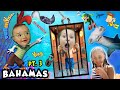 HAIE ÜBERRASCHUNGEN Atlantis Erkunden Am 3 Tag FV Familienreise Auf Die Bahamas Teil 3