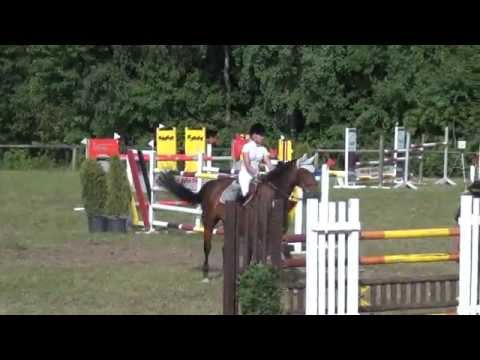 Sportpferde ASG  Batida du Rouet - SPR M** mit Stechen Altenmünster Baiershofen 2013