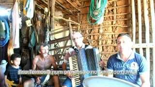 preview picture of video 'Trio Teimosia num pré-ensaio no cantinho do quintal'