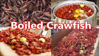 How to boil Louisiana Crawfish, Crayfish & Mudbugs by Louisiana Cajun Recipes