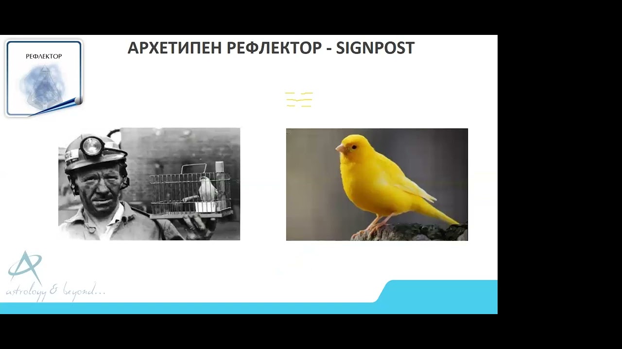 0701.2024 - РЕФЛЕКТОР