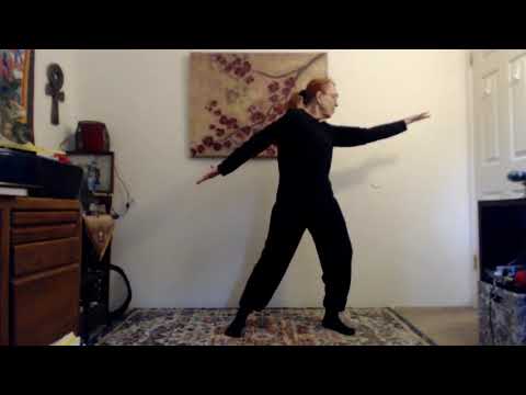 Introduction to Qigong and Tai Chi - Class 1