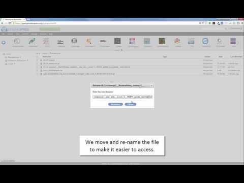 Upload and un-zip FireBrowse data in GenomeSpace
