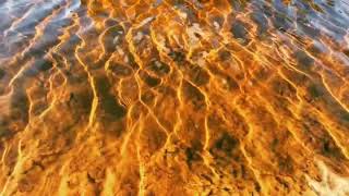 Modest Snippet #1 Willful Suspension of Disbelief