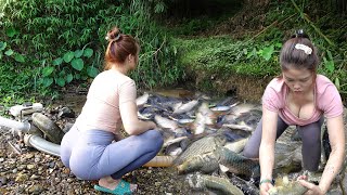 REWIND TIMELAPSE: Fishing with Young Girl's, Fishing on The Rivers, Traps Fish, Harvest Giant Fish