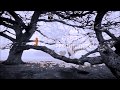 Earth Dance - The KronOs Quartet
