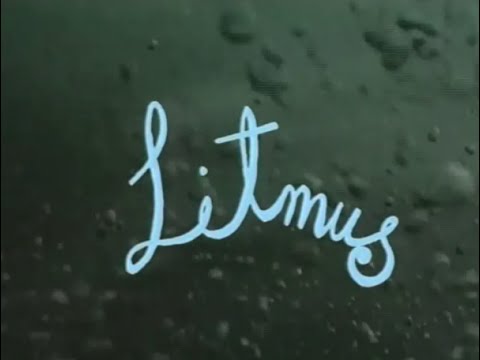 Litmus OST - Rain [Official Video]