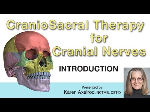 Introduction CranioSacral Therapy for Cranial Nerves 1 Hr Program