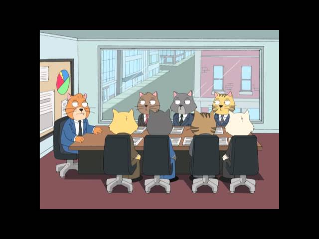 Cat Staff Meeting- HIGH QUALITY