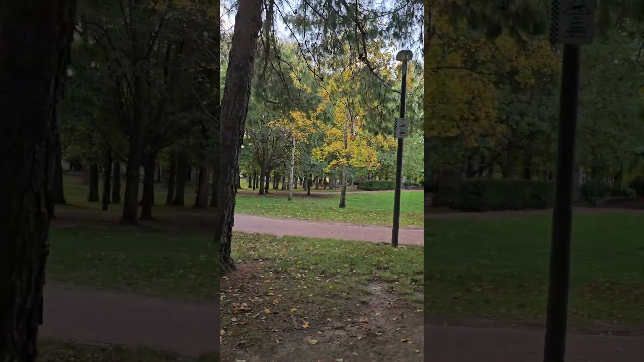 YouTube Short thumbnail