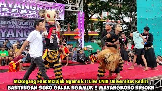 Download lagu Bantengan Suro Galak Ngamuk❗Jaranan MAYANGKORO REBORN Live UNIK Universitas Kediri mp3 Download lagu Bantengan Suro Galak Ngamuk❗Jaranan MAYANGKORO REBORN Live UNIK Universitas Kediri mp3