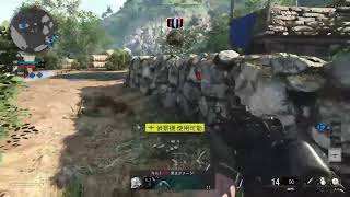 【CoD:BOCW】ほそぼそと配信【とり】