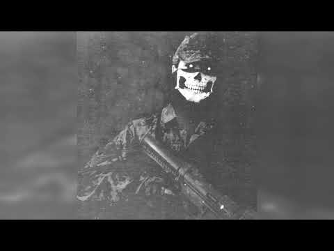 VOLT VISION - BLADE (SLOWED & REVERBED)