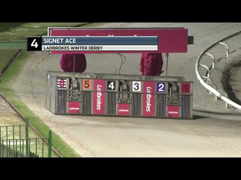 2021 LADBROKES WINTER DERBY FINAL - T4 SIGNET ACE