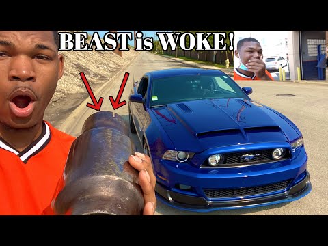 Adding HIGH FLOW Cats Made My Mustang EXTREMELY LOUDER!