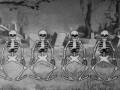 silly symphony - the skeleton dance 1929 disney ...