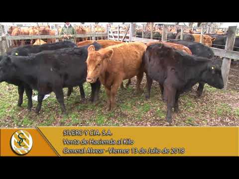 13-07-18 Venta de Gordo - Sivero y Cía. S.A. - General Alvear