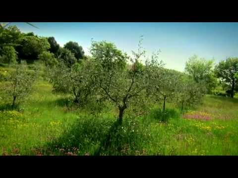 Borgo Di Vagli - A Philosophy of Life