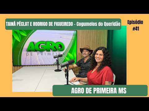Cogumelo também é agro: conheça o cultivo que cresce no silêncio das estufas