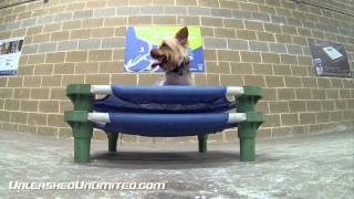 preview picture of video 'Cedar Park Dog Training with Unleashed Unlimited'