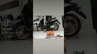 Download lagu genio fabulous 2019 diton premium mp3