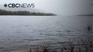 'We've dodged a bullet': Deer Lake breathing sigh of relief as flooding concerns lower