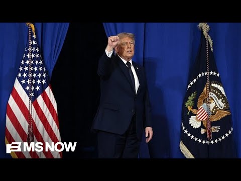 "We're supposed to be idiots": Trump corruption hits new lows