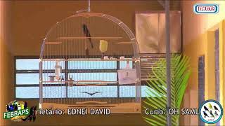 CAMPEONATO ESTADUAL FEBRAPS 2021 - DECIMA PRIMEIRA ETAPA - SOROCABA II