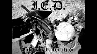 I.E.D. - Intestinal Fortitude
