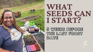What Seeds to Start 5 Weeks Before Last Frost Date| Weekly Seed Starting Challenge