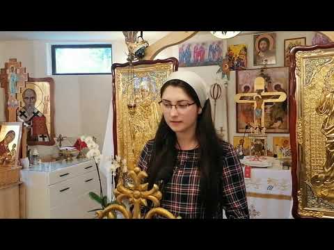 Conștiința unității. Poezie. S. Elena Aurică. 13.06.2021