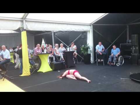 Feest van de burgemeester Alken 2016 - An Decorte