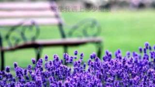 得祢愛我 (團契遊樂園5﹣應許)