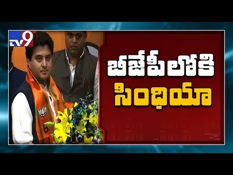 Jyotiraditya ScindiaがJP Naddaの前でBJPに参加 - TV9 (Jyotiraditya Scindia joins BJP in presence of JP Nadda - TV9)