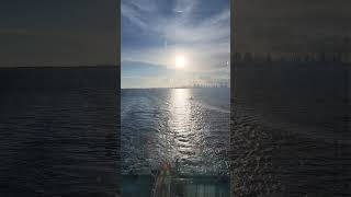 MSC Seascape Rear Elevator: Stunning Panoramic Ocean Views #cruisesplustravel #msccruises #cruise