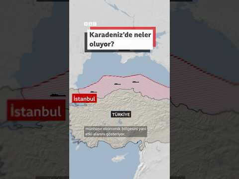 Rusya - Ukrayna savaşı: Karadeniz'de neler oluyor?