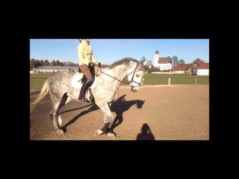 Pentagon`s Peron x Altan II