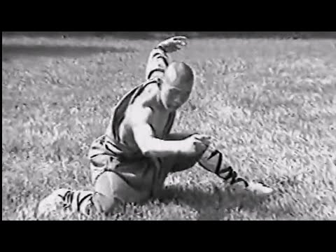 SHAOLIN KUNG FU: Drunken tactics (zui quan)