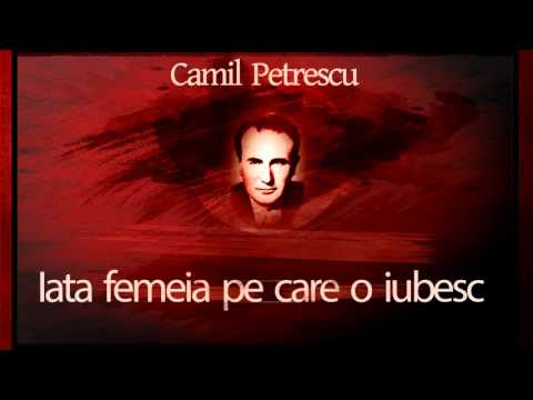 Camil Petrescu - Iata femeia pe care o iubesc (1975) #teatruonline #teatruaudio #teatruradiofonic
