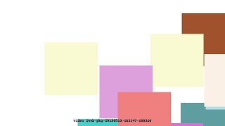 Video #web-pkg-20190519-163347-188320
